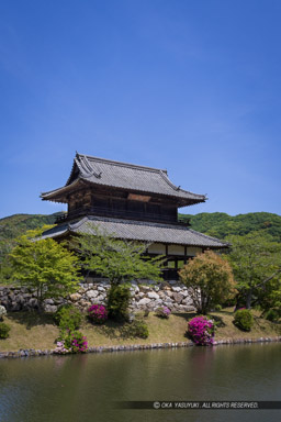 御土居の矢倉跡・吉香神社絵馬堂｜高解像度画像サイズ：5464 x 8192 pixels｜写真番号：344A3454｜撮影：Canon EOS R5