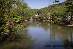 御土居水堀｜高解像度画像サイズ：8192 x 5464 pixels｜写真番号：344A3465｜撮影：Canon EOS R5