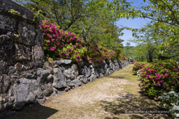 御土居石垣と犬走り｜高解像度画像サイズ：8192 x 5464 pixels｜写真番号：344A3466｜撮影：Canon EOS R5