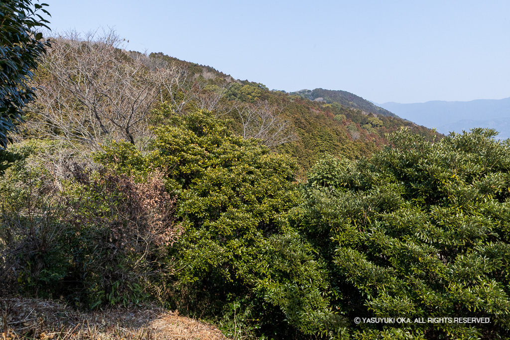 本丸跡から大野城を望む