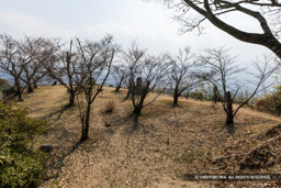 本丸跡 | 高解像度画像サイズ：8192 x 5464 pixels | 写真番号：6F1A2777 | 撮影：Canon EOS R5m2