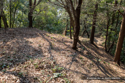 二の丸跡 | 高解像度画像サイズ：8192 x 5464 pixels | 写真番号：6F1A2784 | 撮影：Canon EOS R5m2