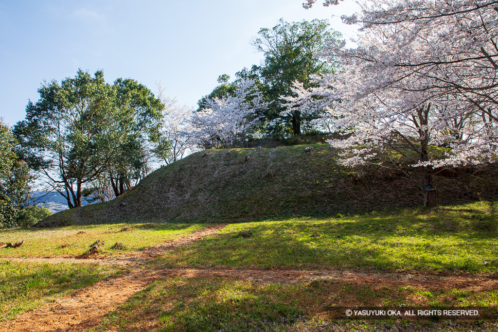 北側の曲輪から望む主郭