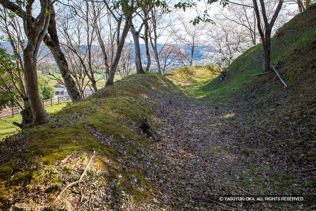 主郭空堀と土塁