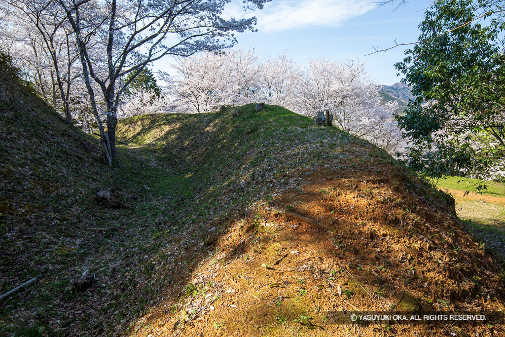 主郭空堀と土塁