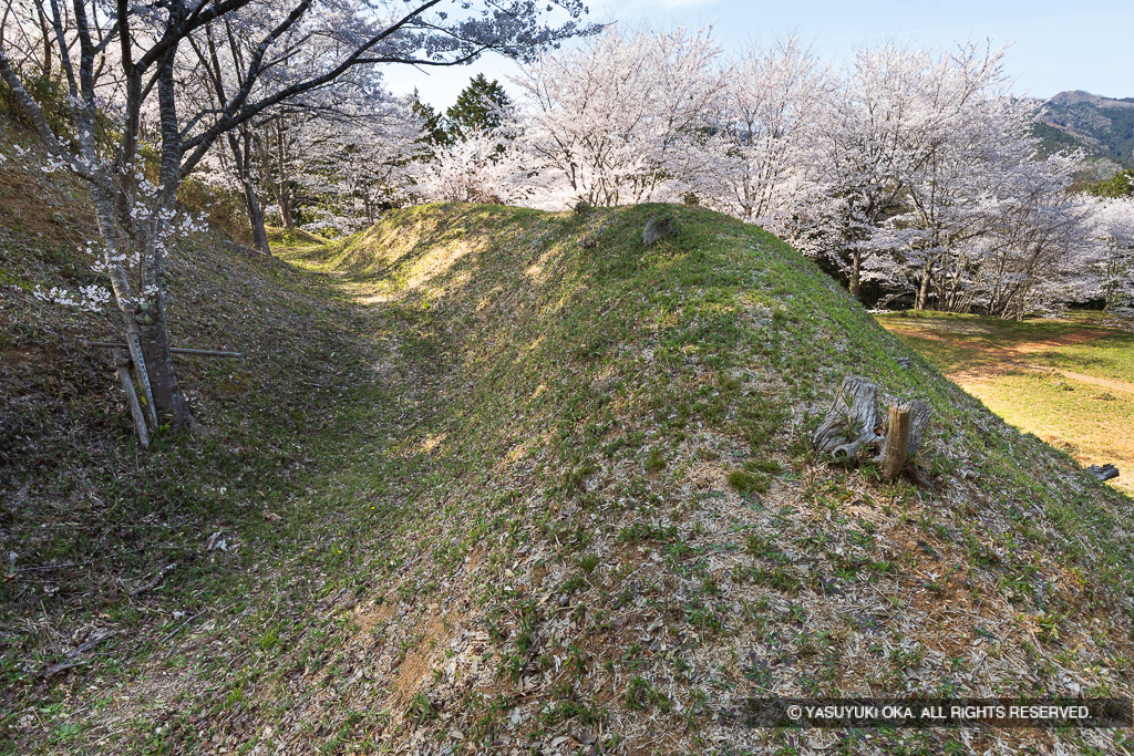 主郭空堀と土塁