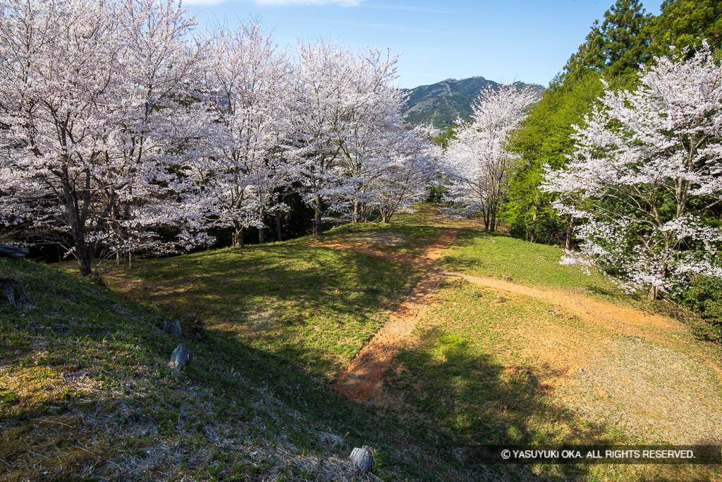 猪崎城北側の曲輪