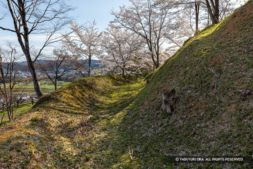 猪崎城主郭空堀と土塁