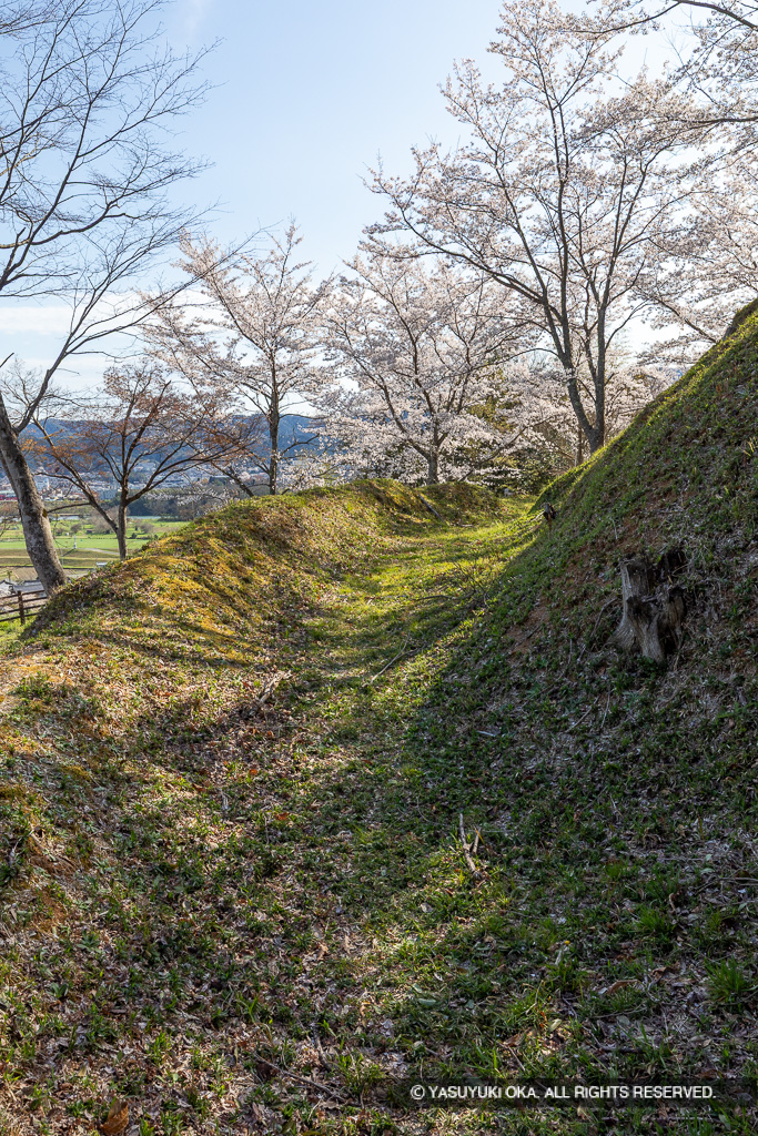 猪崎城主郭空堀と土塁