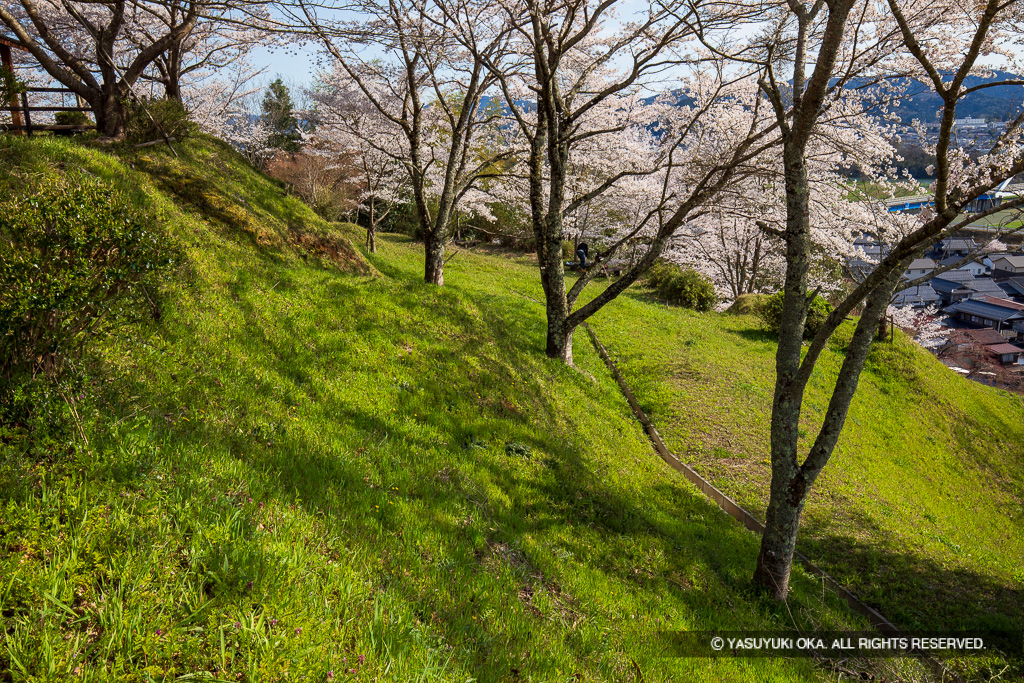 主郭切岸と帯曲輪