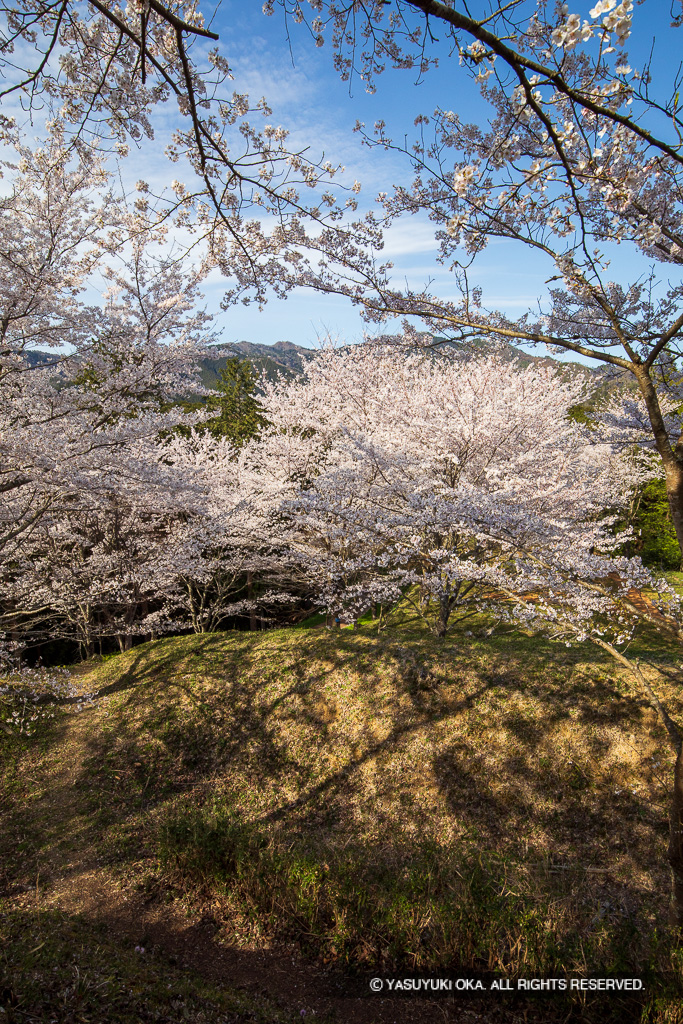 主郭北側空堀と土塁