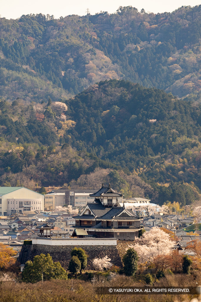 猪崎城から福知山城を望む