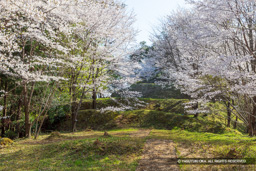 北側の曲輪から望む主郭 | 高解像度画像サイズ：5852 x 3901 pixels | 写真番号：5D4A7988 | 撮影：Canon EOS 5D Mark IV