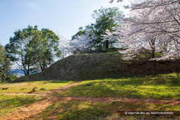 北側の曲輪から望む主郭 | 高解像度画像サイズ：6720 x 4480 pixels | 写真番号：5D4A7991 | 撮影：Canon EOS 5D Mark IV