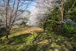 北側の曲輪 | 高解像度画像サイズ：6720 x 4480 pixels | 写真番号：5D4A7993 | 撮影：Canon EOS 5D Mark IV