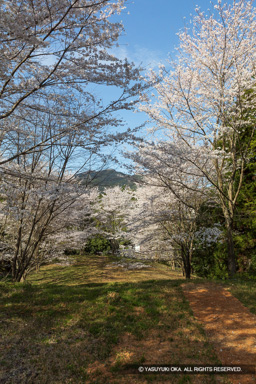 北側の曲輪 | 高解像度画像サイズ：4480 x 6720 pixels | 写真番号：5D4A7994 | 撮影：Canon EOS 5D Mark IV