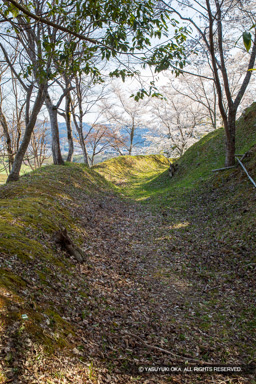 主郭空堀と土塁 | 高解像度画像サイズ：4480 x 6720 pixels | 写真番号：5D4A8000 | 撮影：Canon EOS 5D Mark IV