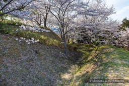 主郭空堀と土塁 | 高解像度画像サイズ：6720 x 4480 pixels | 写真番号：5D4A8005 | 撮影：Canon EOS 5D Mark IV