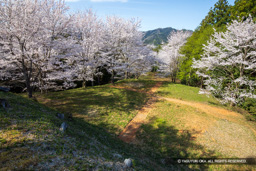 猪崎城北側の曲輪 | 高解像度画像サイズ：6720 x 4480 pixels | 写真番号：5D4A8006 | 撮影：Canon EOS 5D Mark IV