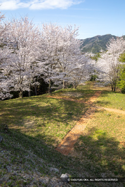 猪崎城北側の曲輪 | 高解像度画像サイズ：4480 x 6720 pixels | 写真番号：5D4A8007 | 撮影：Canon EOS 5D Mark IV
