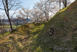 猪崎城主郭空堀と土塁 | 高解像度画像サイズ：6720 x 4480 pixels | 写真番号：5D4A8009 | 撮影：Canon EOS 5D Mark IV