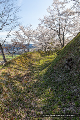 猪崎城主郭空堀と土塁 | 高解像度画像サイズ：4480 x 6720 pixels | 写真番号：5D4A8010 | 撮影：Canon EOS 5D Mark IV