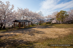 猪崎城主郭 | 高解像度画像サイズ：6720 x 4480 pixels | 写真番号：5D4A8012 | 撮影：Canon EOS 5D Mark IV