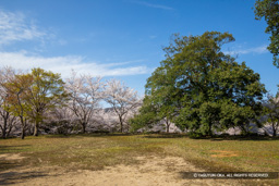 猪崎城主郭 | 高解像度画像サイズ：6720 x 4480 pixels | 写真番号：5D4A8013 | 撮影：Canon EOS 5D Mark IV