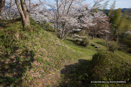 主郭虎口跡 | 高解像度画像サイズ：6720 x 4480 pixels | 写真番号：5D4A8014 | 撮影：Canon EOS 5D Mark IV