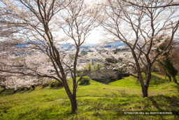 帯曲輪 | 高解像度画像サイズ：6720 x 4480 pixels | 写真番号：5D4A8015 | 撮影：Canon EOS 5D Mark IV
