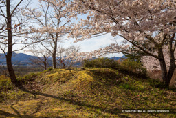 主郭矢倉跡 | 高解像度画像サイズ：6720 x 4480 pixels | 写真番号：5D4A8019 | 撮影：Canon EOS 5D Mark IV