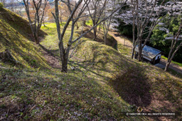 主郭西側空堀と土塁 | 高解像度画像サイズ：6720 x 4480 pixels | 写真番号：5D4A8025 | 撮影：Canon EOS 5D Mark IV