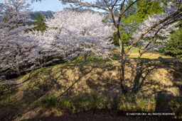主郭北側空堀と土塁 | 高解像度画像サイズ：6720 x 4480 pixels | 写真番号：5D4A8026 | 撮影：Canon EOS 5D Mark IV