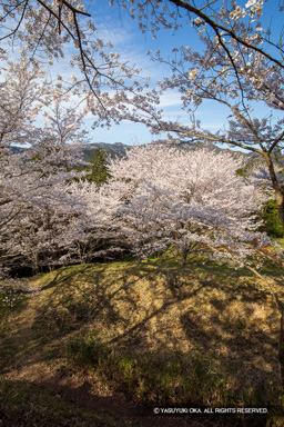 主郭北側空堀と土塁 | 高解像度画像サイズ：4480 x 6720 pixels | 写真番号：5D4A8027 | 撮影：Canon EOS 5D Mark IV