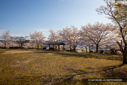 猪崎城主郭 | 高解像度画像サイズ：6720 x 4480 pixels | 写真番号：5D4A8028 | 撮影：Canon EOS 5D Mark IV