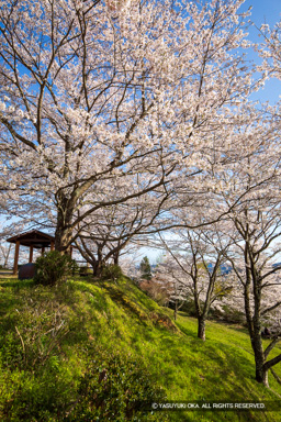 帯曲輪 | 高解像度画像サイズ：4480 x 6720 pixels | 写真番号：5D4A8030 | 撮影：Canon EOS 5D Mark IV