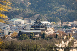 猪崎城から福知山城を望む | 高解像度画像サイズ：6720 x 4480 pixels | 写真番号：5D4A8032 | 撮影：Canon EOS 5D Mark IV