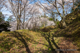 土塁 | 高解像度画像サイズ：6720 x 4480 pixels | 写真番号：5D4A8042 | 撮影：Canon EOS 5D Mark IV