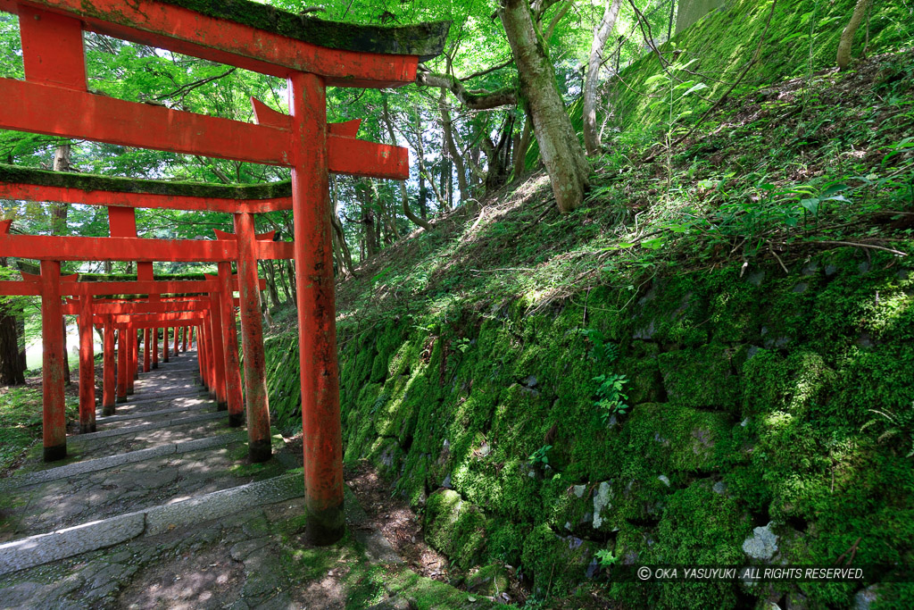 苔むした石垣と御城坂