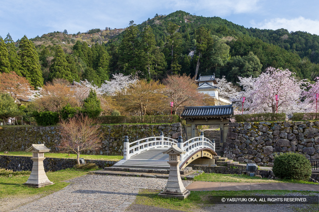 出石城登城門と有子山城・桜