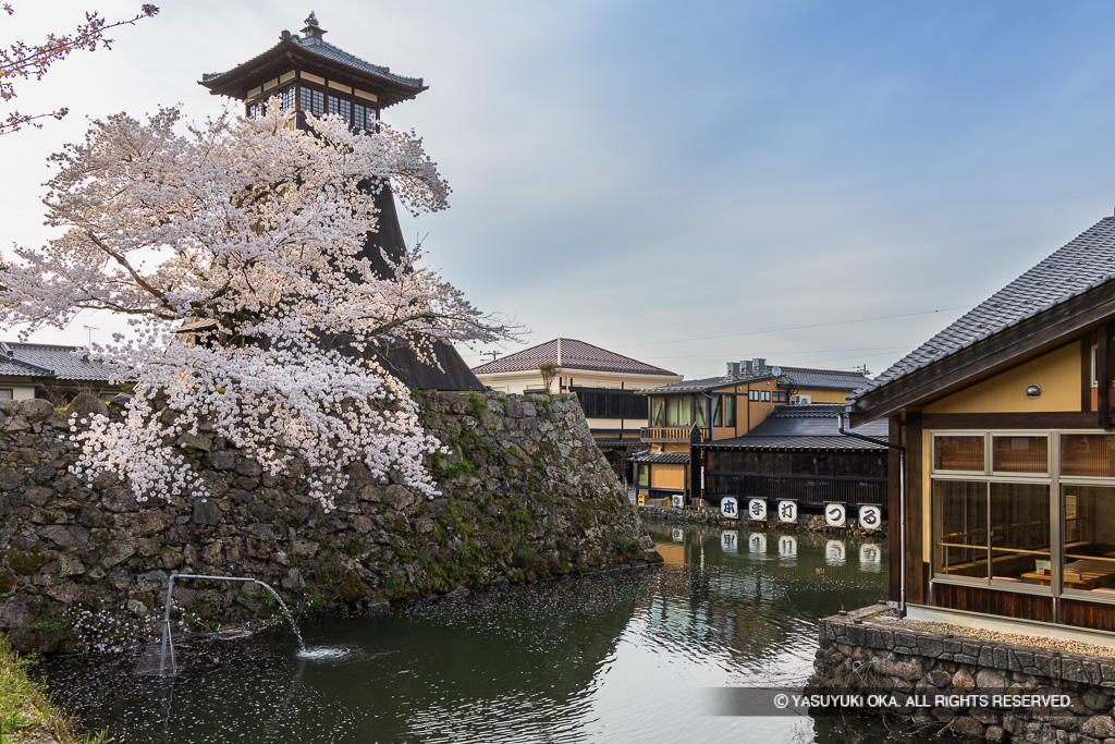 辰鼓楼と桜・大手水堀