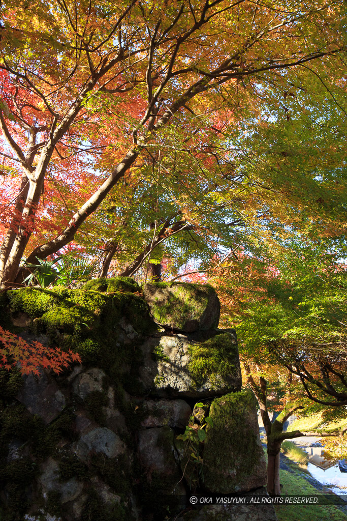 出石城の紅葉