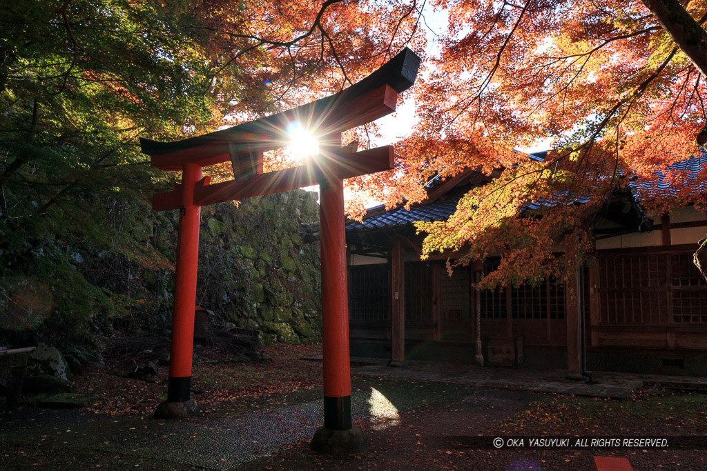 出石城の紅葉