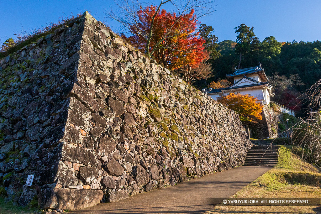 二の丸石垣と本丸西隅櫓・秋・紅葉