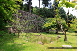 本丸跡（本丸庭園跡）｜高解像度画像サイズ：8688 x 5792 pixels｜写真番号：5DSA8597｜撮影：Canon EOS 5DS