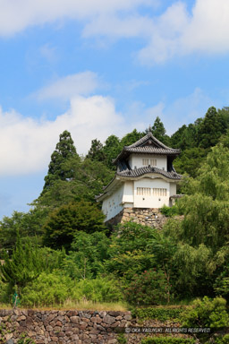 出石城本丸西隅櫓・山麓イメージ・縦アングル｜高解像度画像サイズ：5792 x 8688 pixels｜写真番号：5DSA8883｜撮影：Canon EOS 5DS