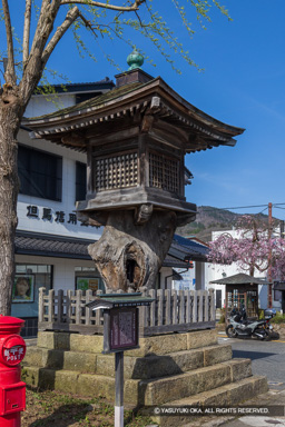 おりゅう灯籠 | 高解像度画像サイズ:4919 x 7375 pixels | 写真番号:6F1A6559 | 撮影:Canon EOS R5m2