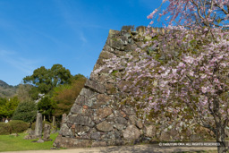 二の丸石垣 | 高解像度画像サイズ:8192 x 5464 pixels | 写真番号:6F1A6569 | 撮影:Canon EOS R5m2