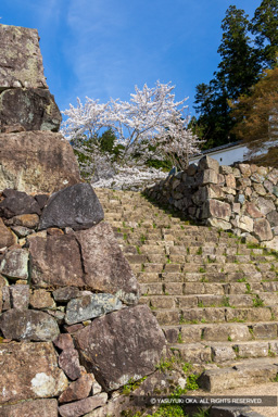 二の丸虎口 | 高解像度画像サイズ:5091 x 7633 pixels | 写真番号:6F1A6601 | 撮影:Canon EOS R5m2