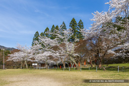 二の丸跡 | 高解像度画像サイズ:7199 x 4802 pixels | 写真番号:6F1A6606 | 撮影:Canon EOS R5m2